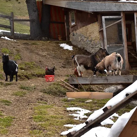 Inn Gasthaus Alpenrose Davos